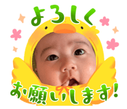 822016023