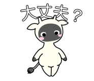 822035040