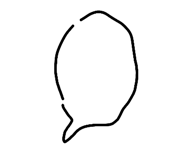 822035634
