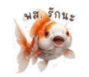 822056561