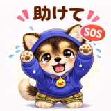 822063139