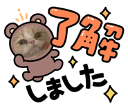 822065705