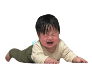 822085808