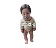 822085812