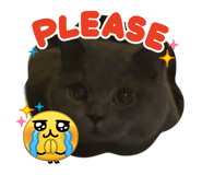822089062