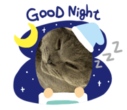 822089071