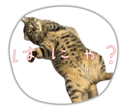 822126067