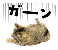 822126070