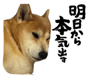 822126084