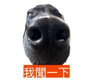 822135494