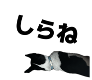 822200598