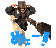 822206267