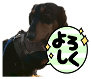 822229975