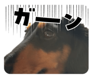 822229976
