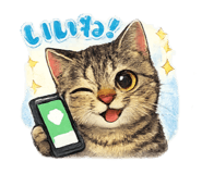 822251805