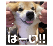 822257252