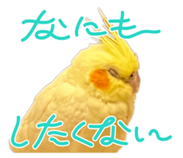 822265491