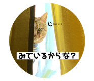 822271633