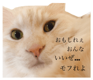 822271636