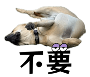 822273112