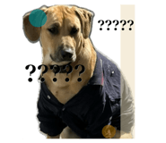 822273601