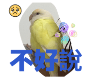 822276606
