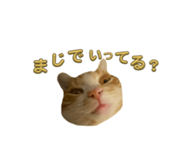 822283089