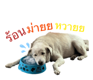 822287620