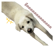 822287624