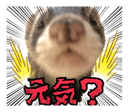 822290691