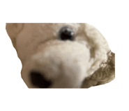 822340998
