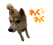 822346699