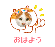 822348082