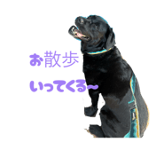 822348212