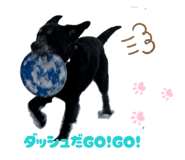 822348213