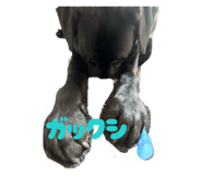 822348216
