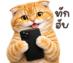 ลายที่ 1