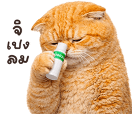 ลายที่ 5