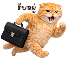 ลายที่ 7