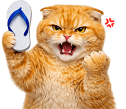 ลายที่ 21