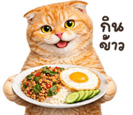 ลายที่ 23