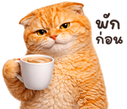 ลายที่ 45