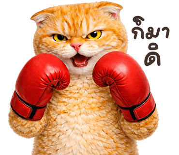ลายที่ 24