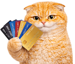 ลายที่ 53