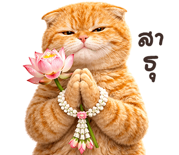 ลายที่ 28
