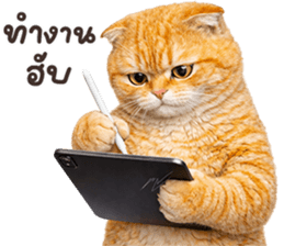 ลายที่ 57