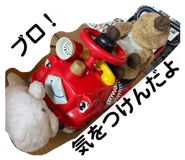 822370245