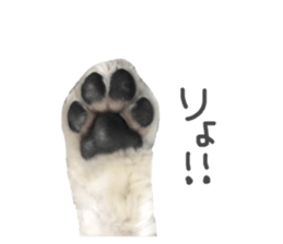 82238282