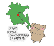 822387088
