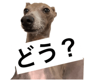 822421901